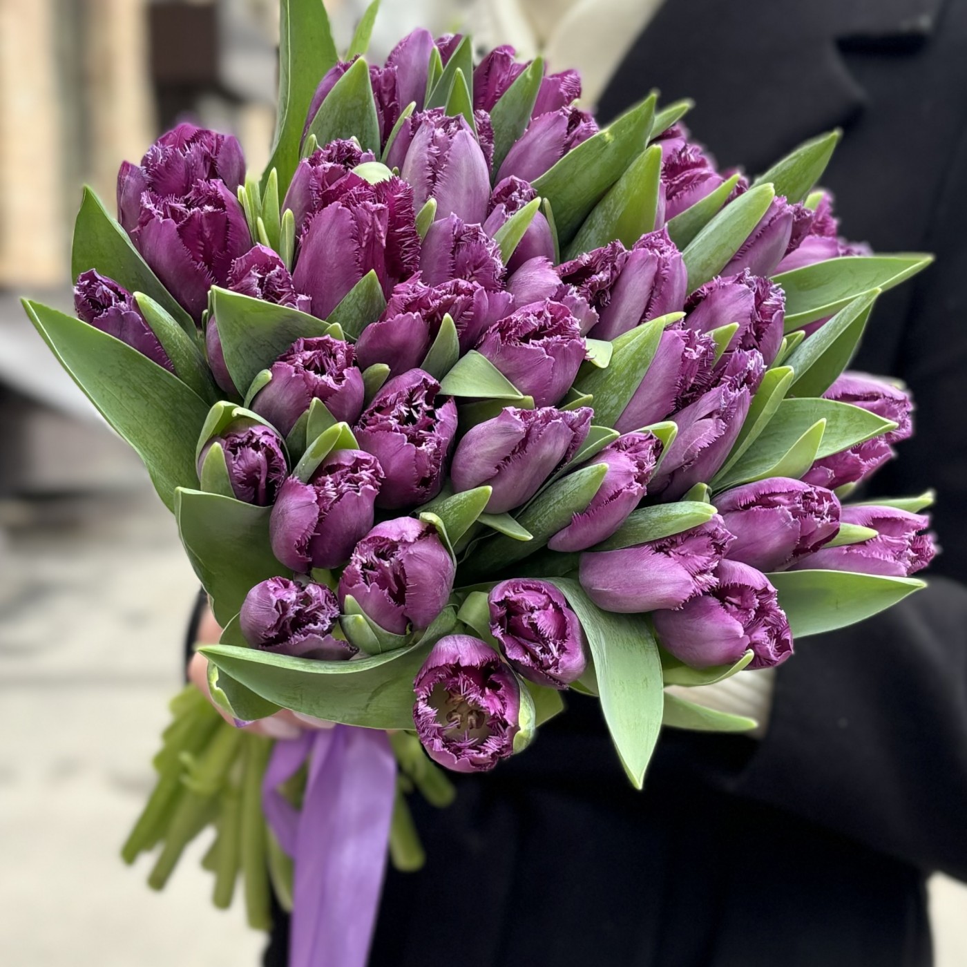 Тюльпан махровый фиолетовый Мадженто