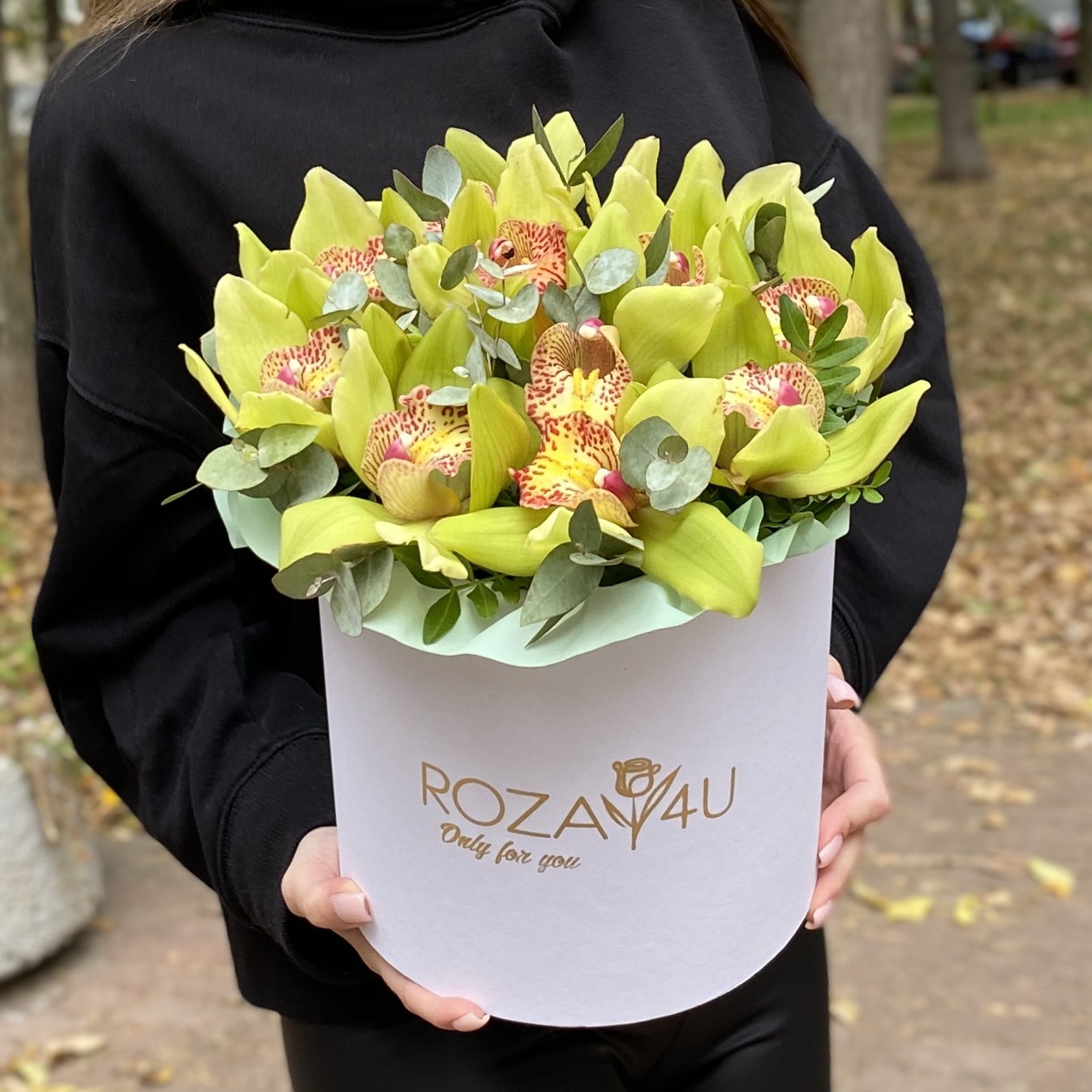 11 зеленых орхидей Цимбидиум с эвкалиптом в коробке
