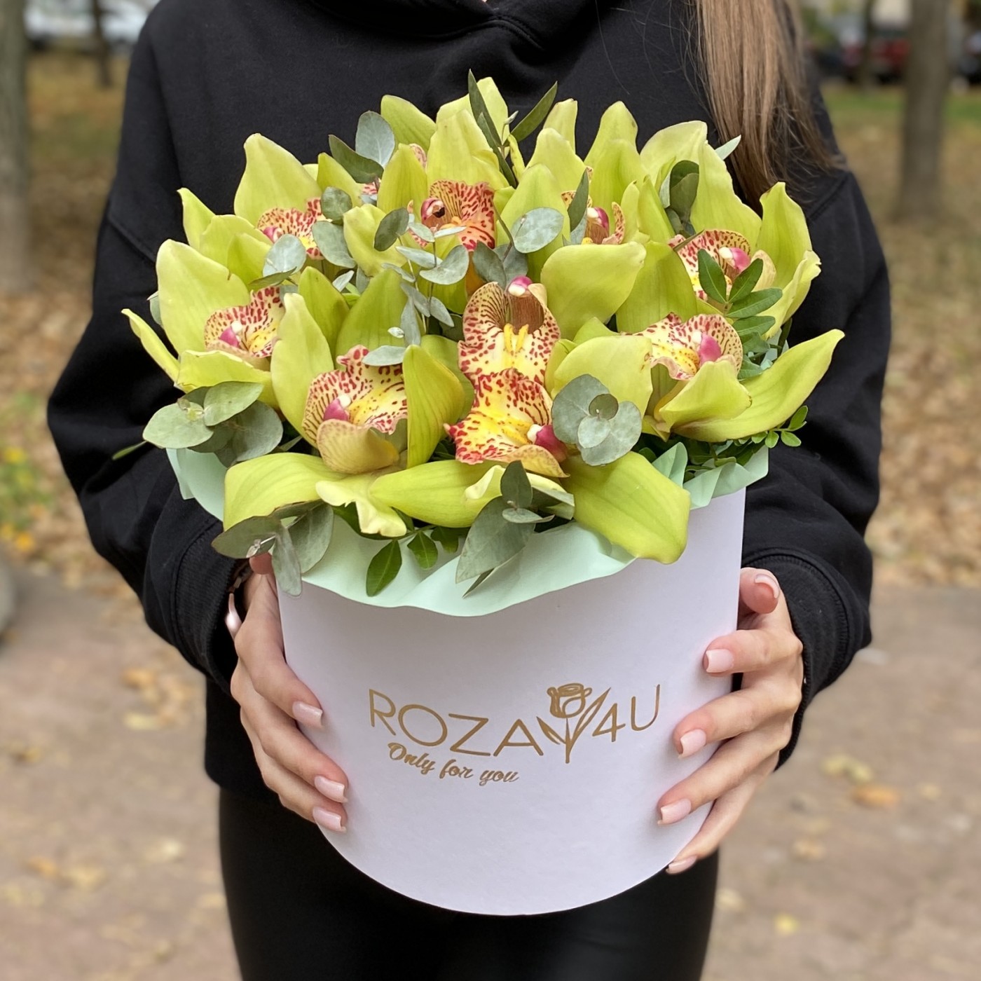 11 зеленых орхидей Цимбидиум с эвкалиптом в коробке