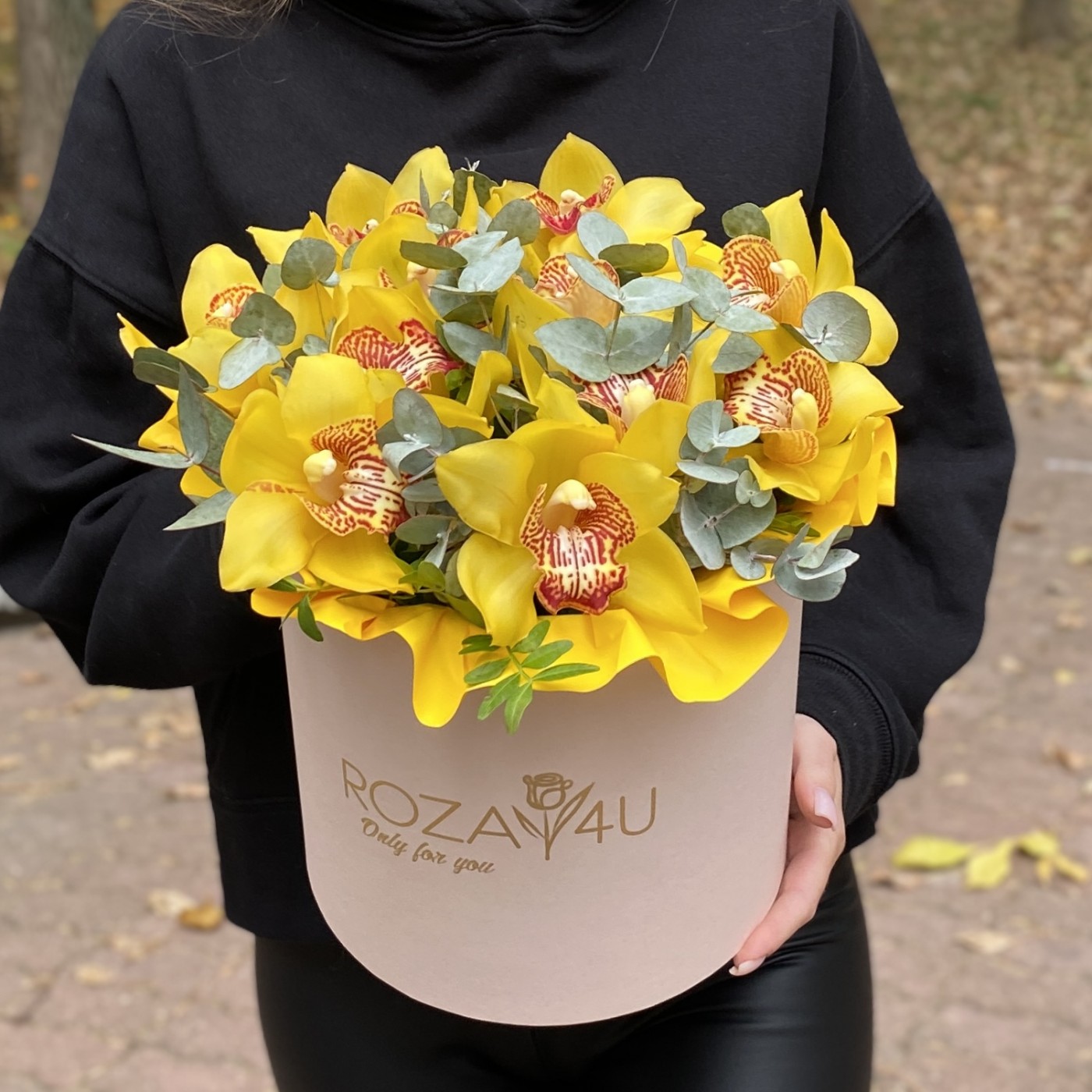 11 желтых орхидей Цимбидиум с эвкалиптом в коробке