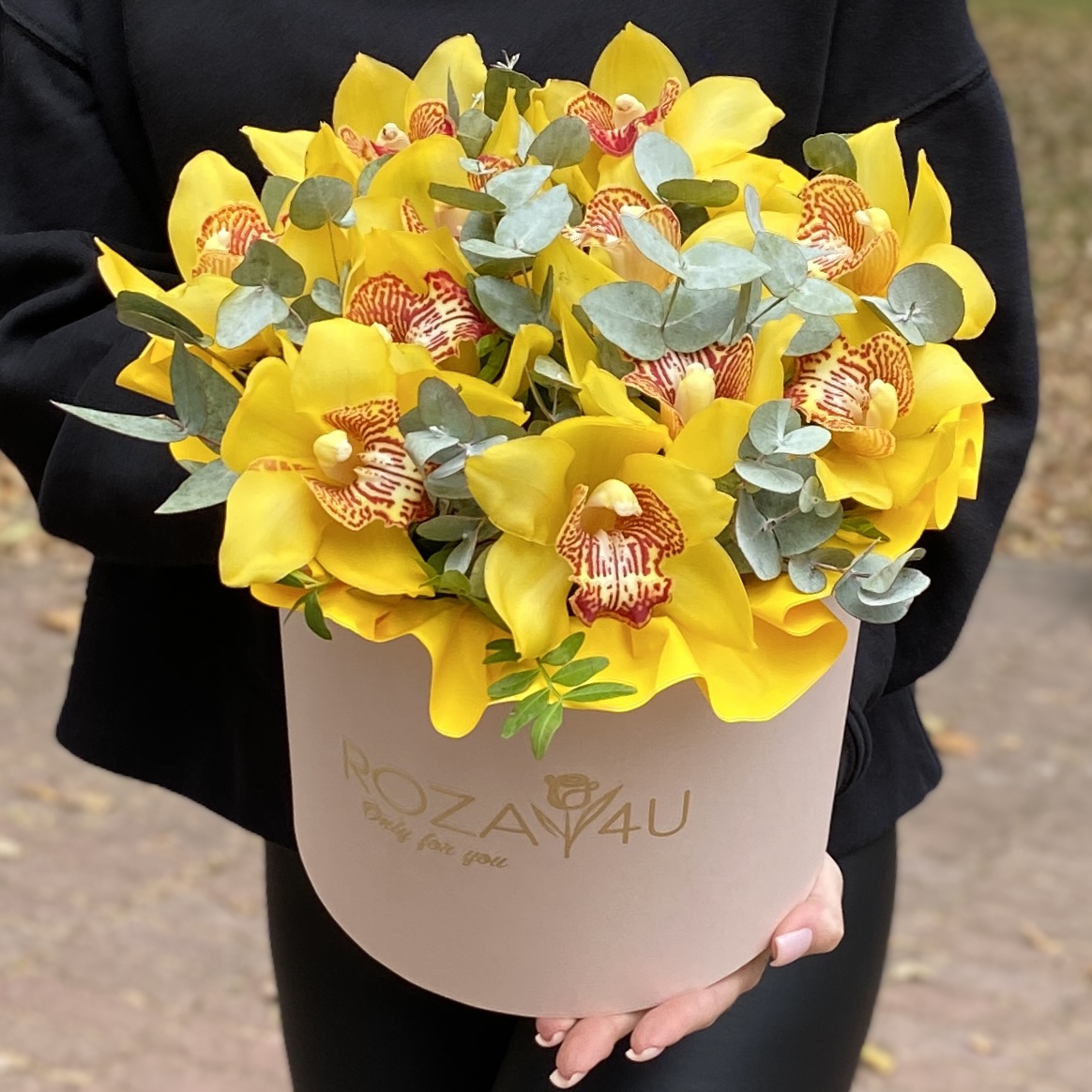11 желтых орхидей Цимбидиум с эвкалиптом в коробке