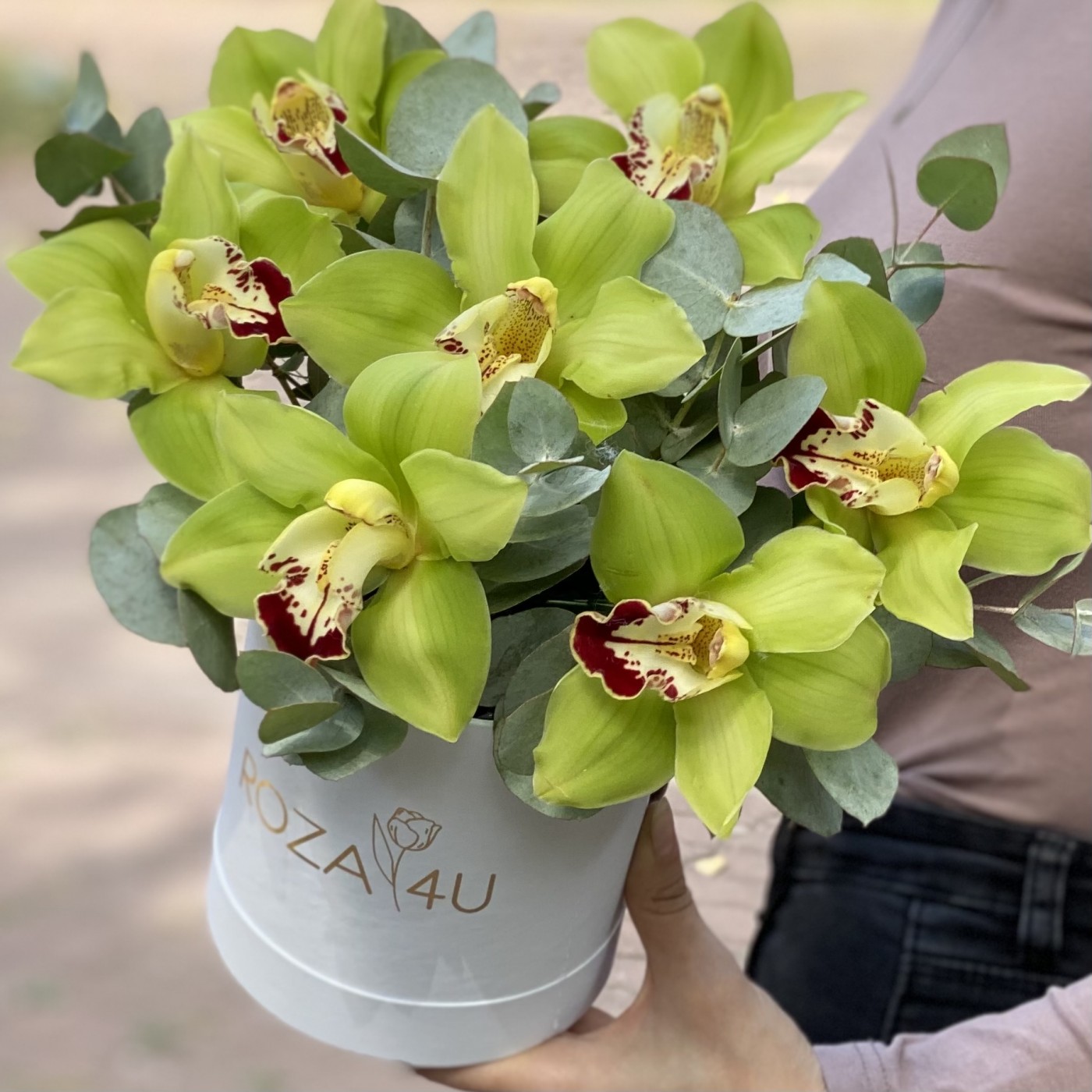 Зелёные орхидеи с эвкалиптом в коробке