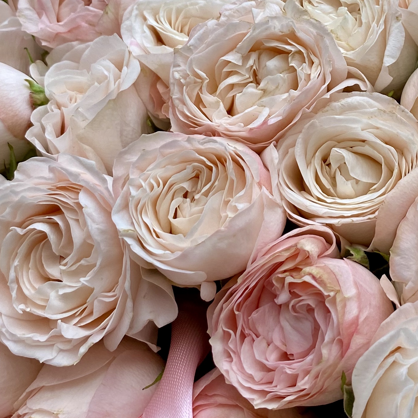Букет Нежно-розовое цветение
