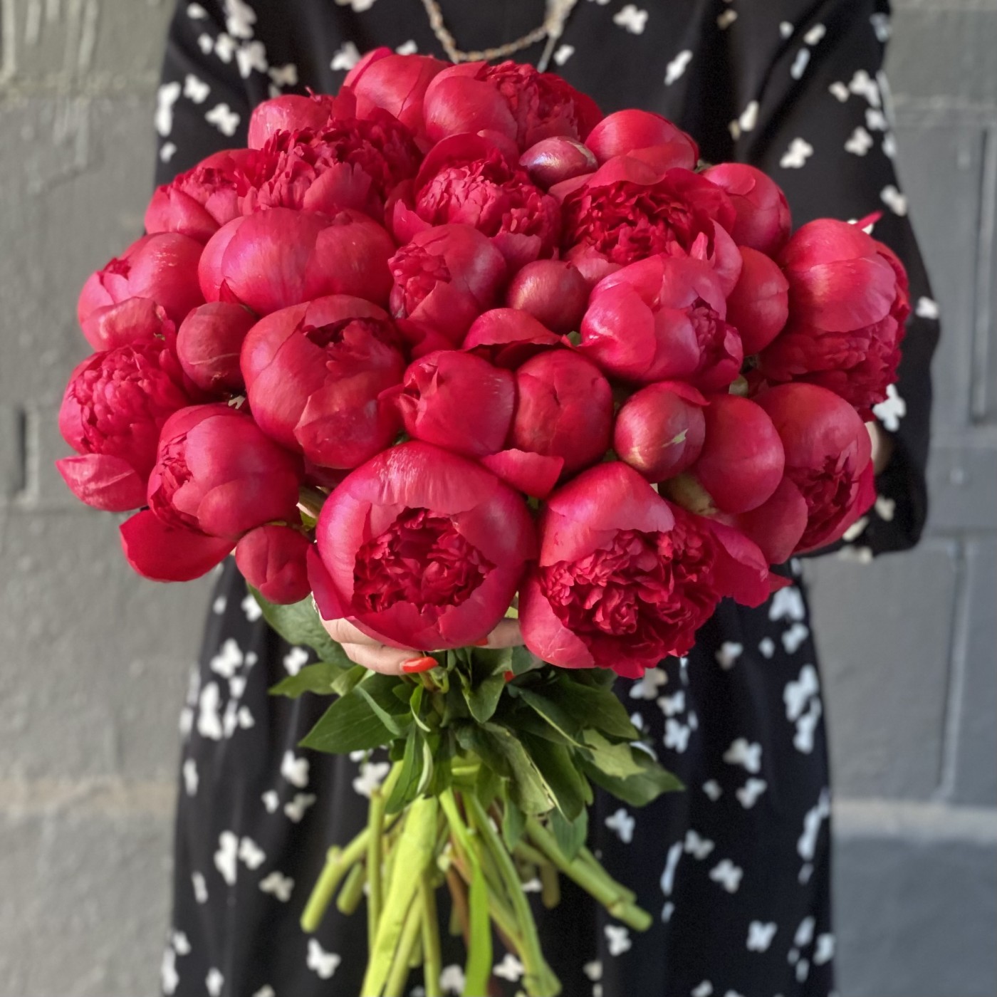 Пион гранатовый