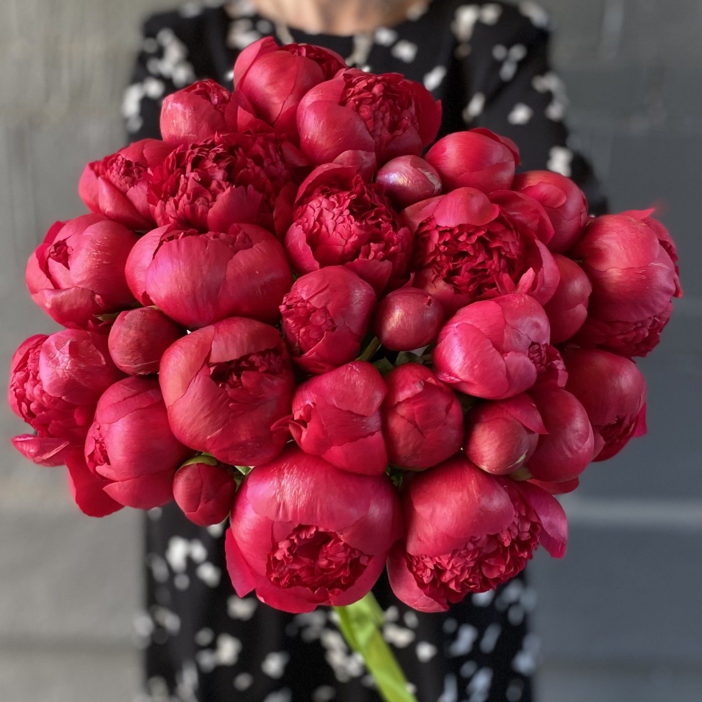 Пион гранатовый