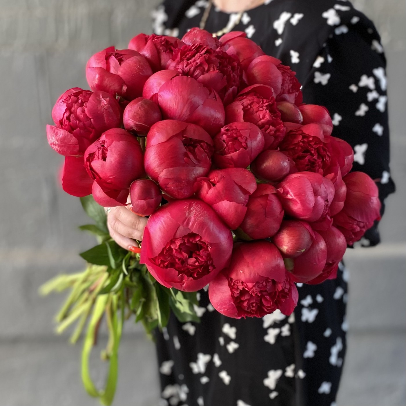 Пион гранатовый