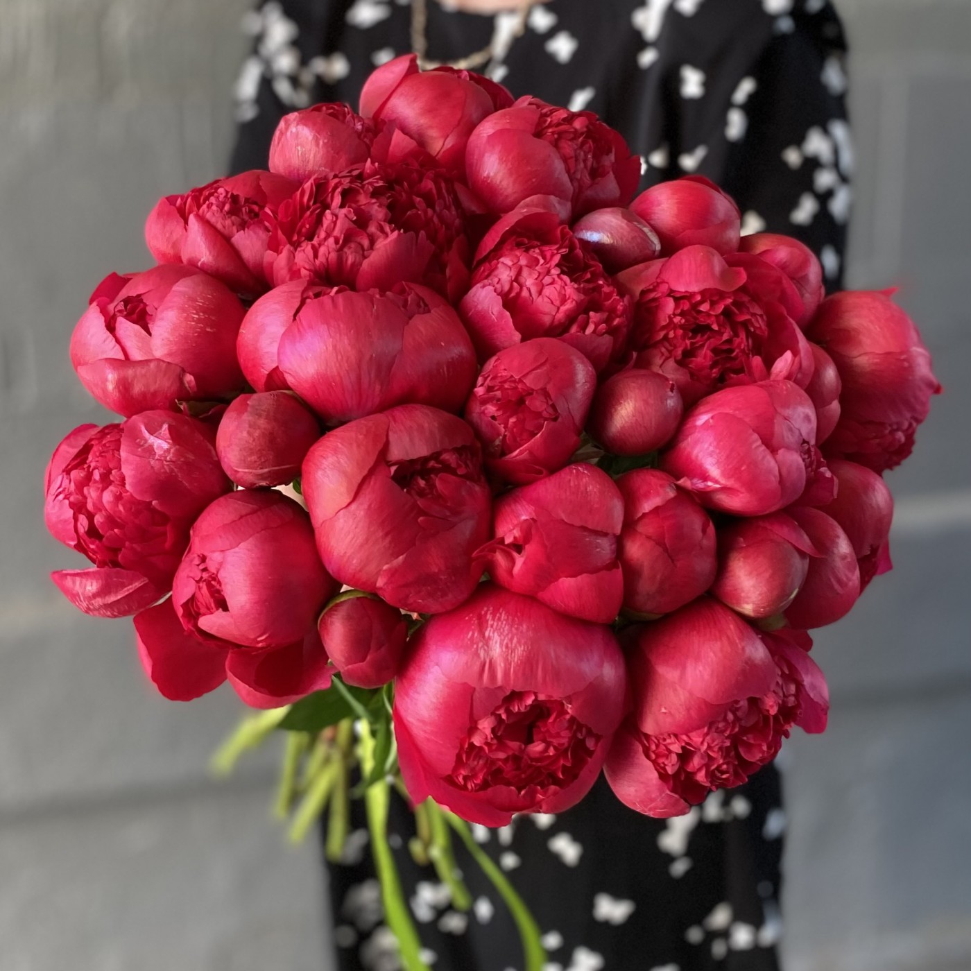 Пион гранатовый