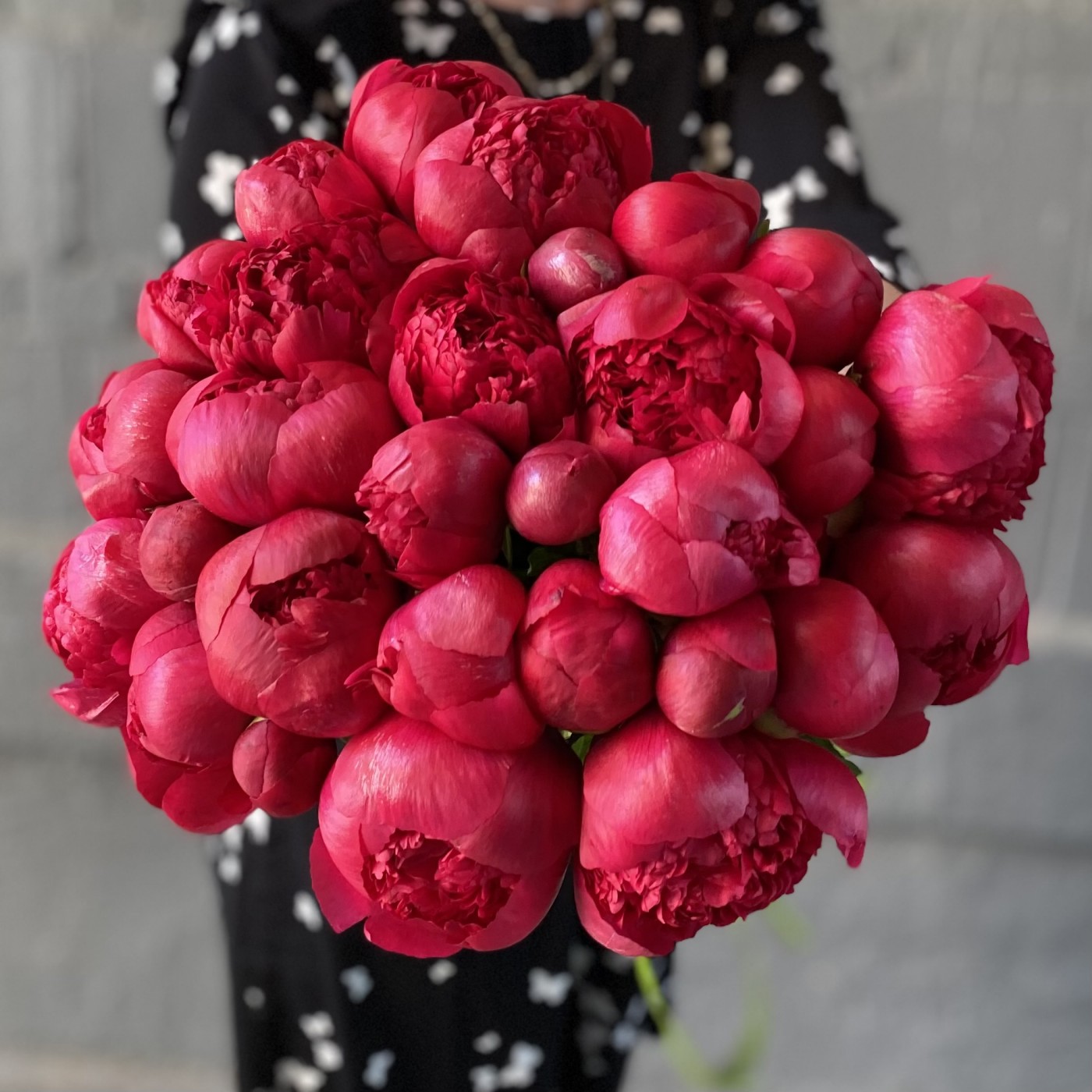 Пион гранатовый