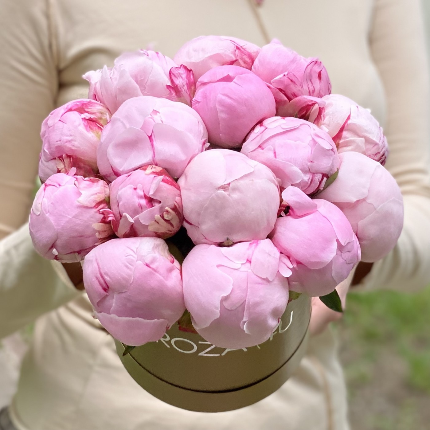 15 розовых пионов Сара Бернар в коробке