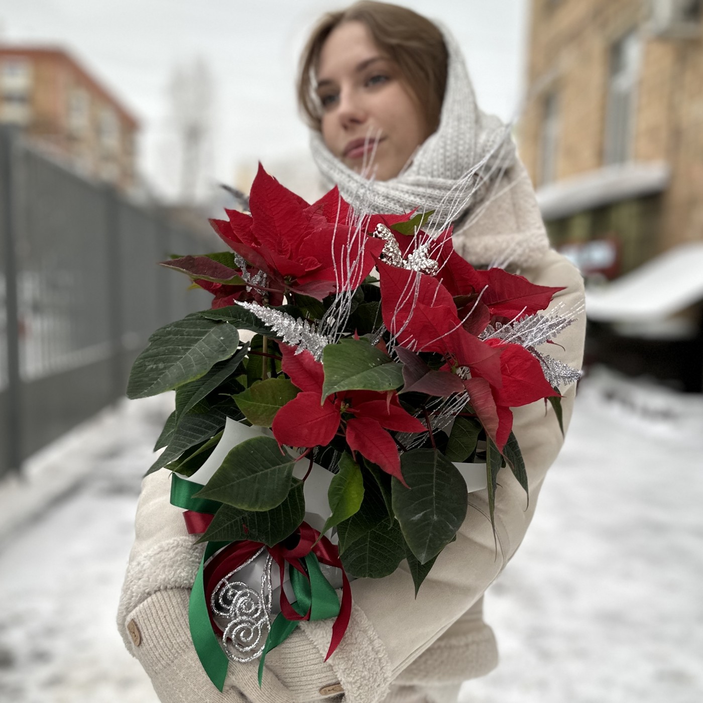 Красная пуансеттия с серебряным декором