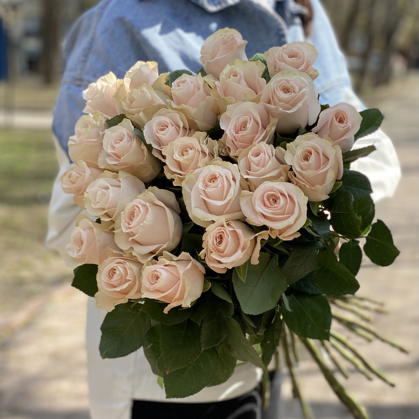 Роза Помароса 60 см