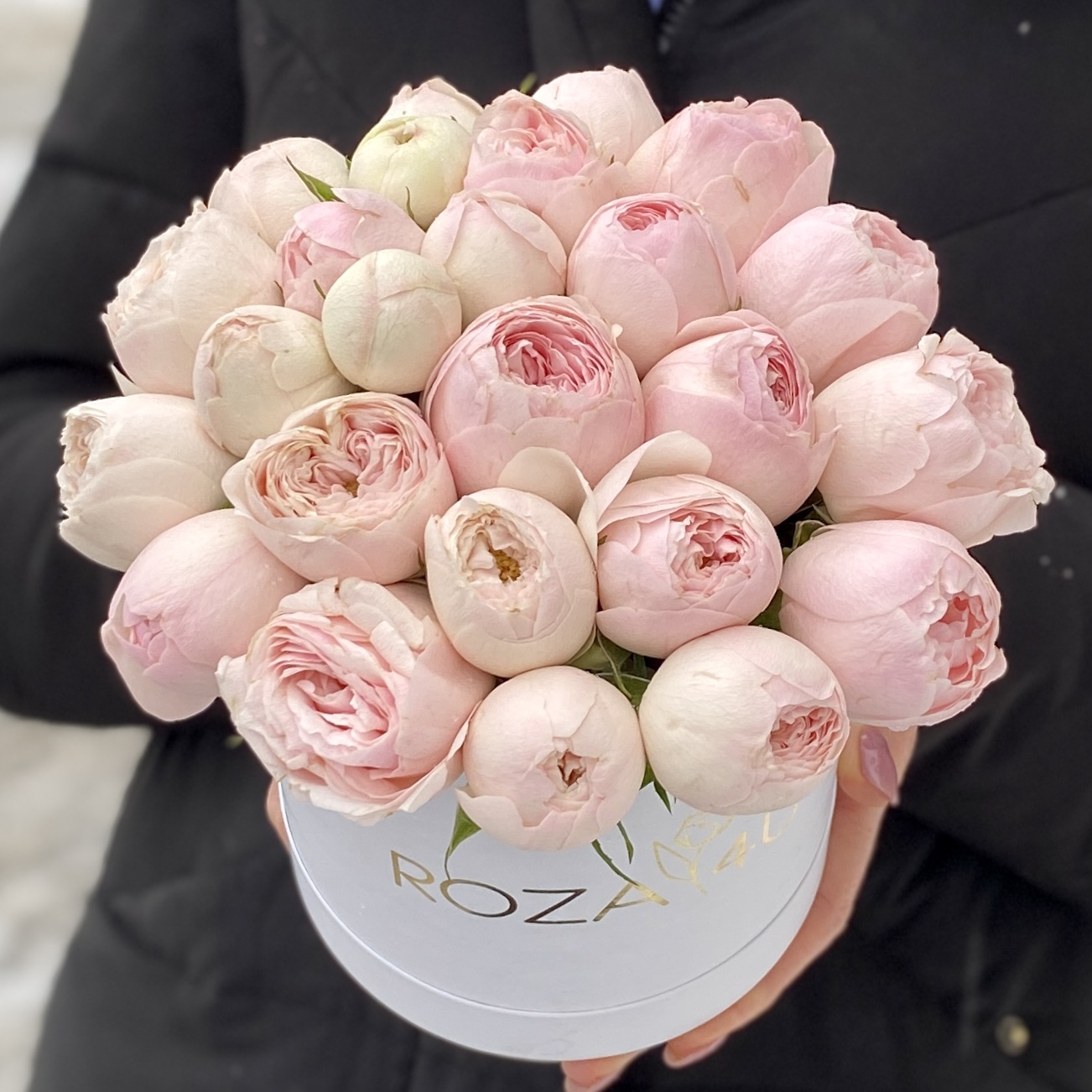 Пионовидные розы в коробке Мансфилд Парк
