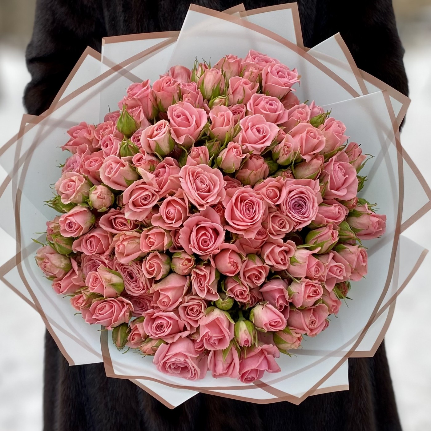 25 кустовых роз Натали 40см