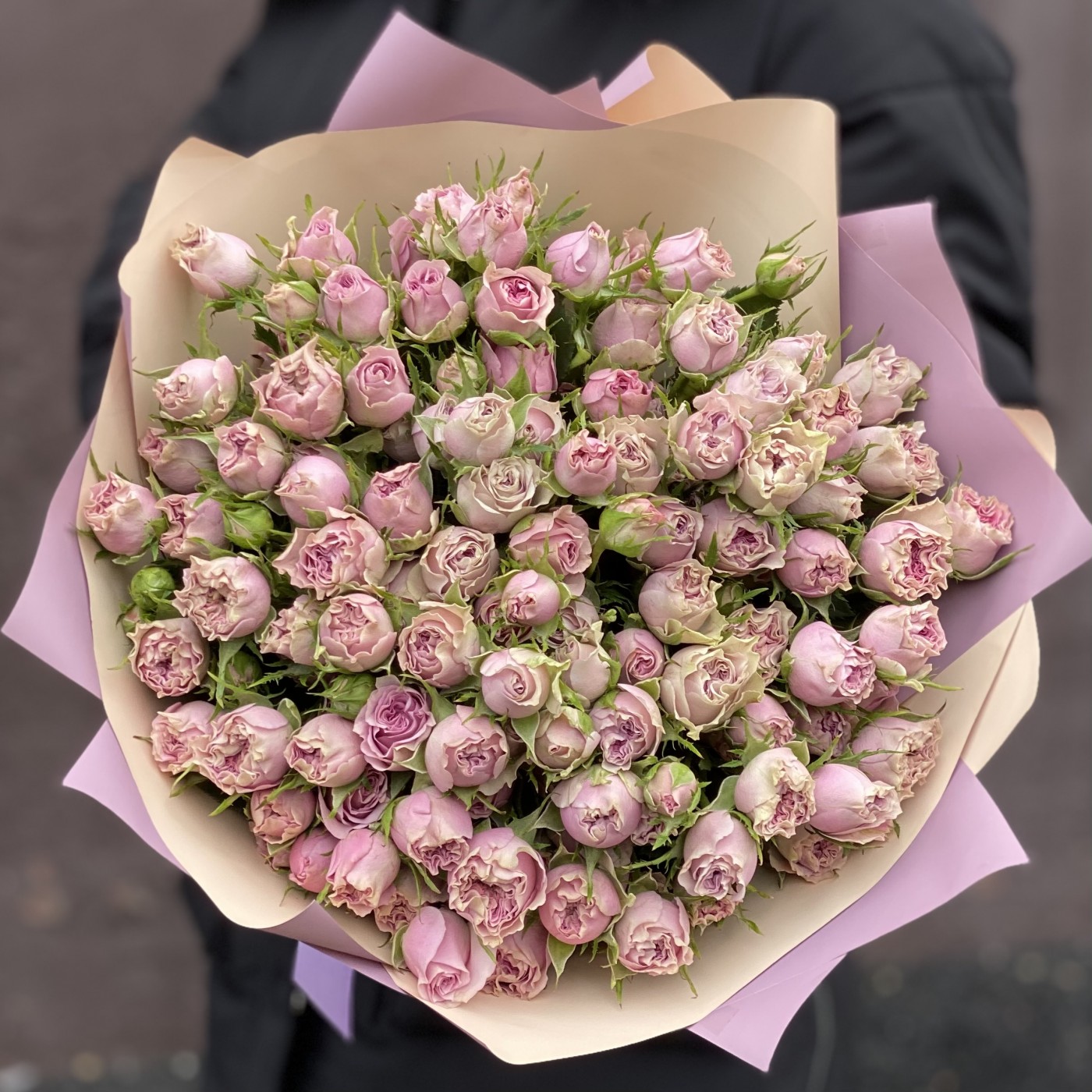 25 кустовых роз Моутаун 40см