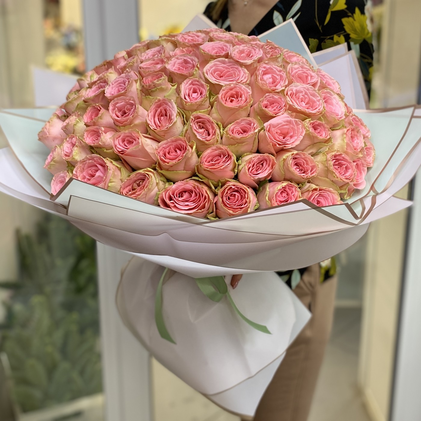 101 пионовидная роза Софи Лорен
