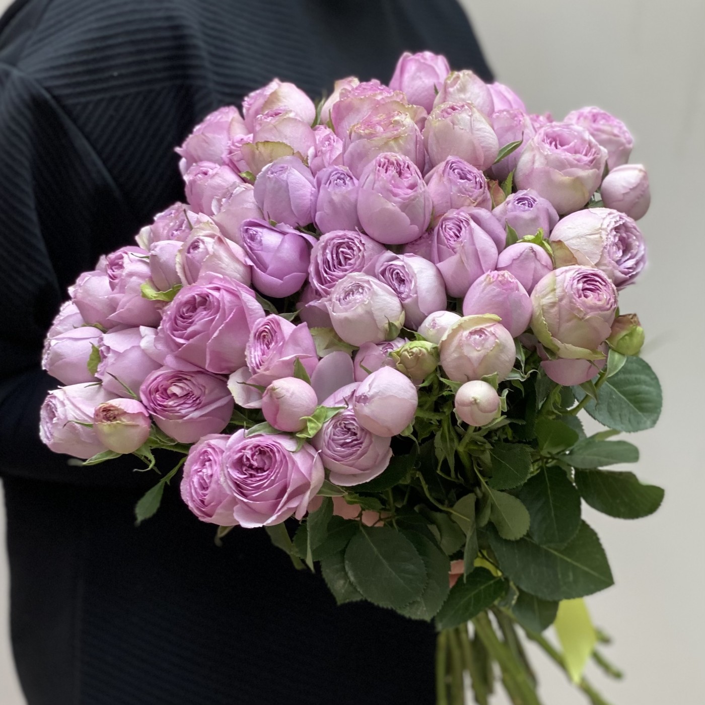 Кустовая пионовидная роза Lavender Lace