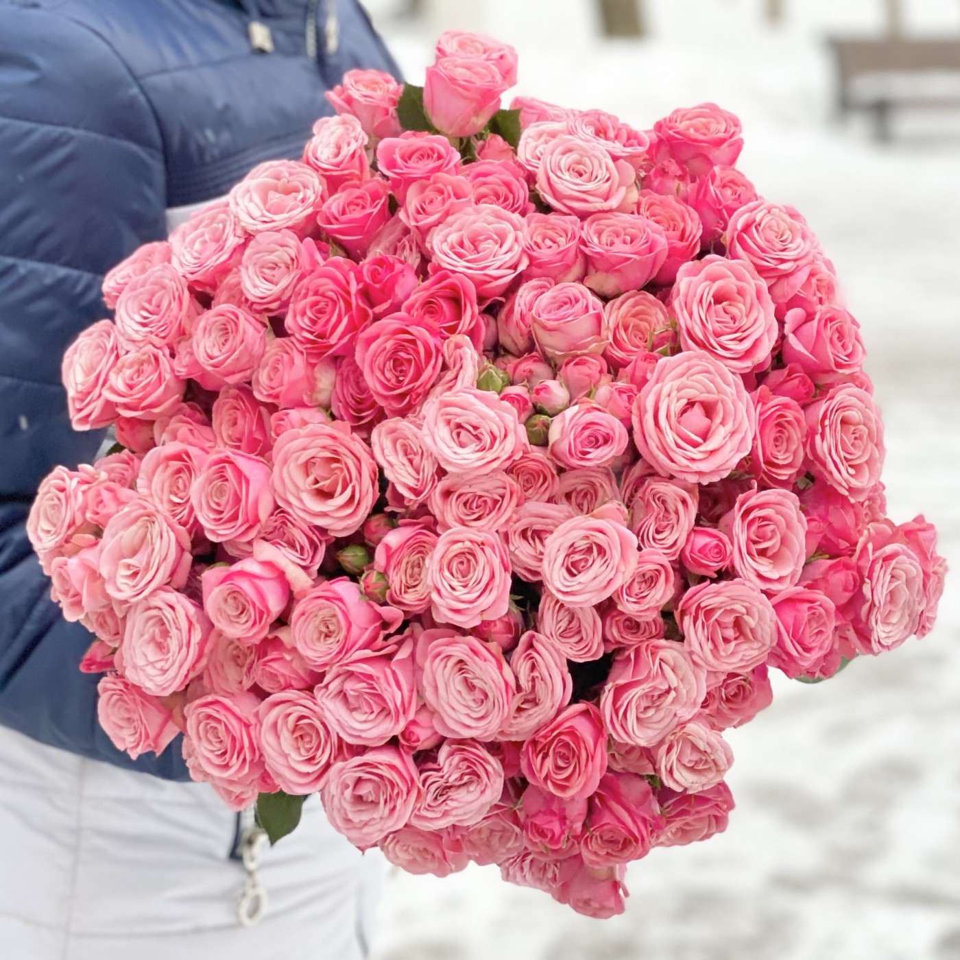 Кустовая розовая пионовидная роза Дионн