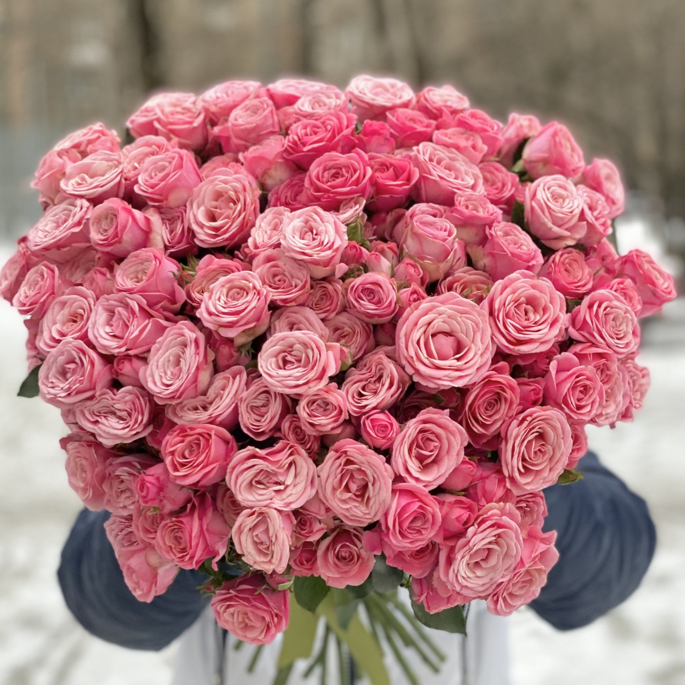 Кустовая розовая пионовидная роза Дионн