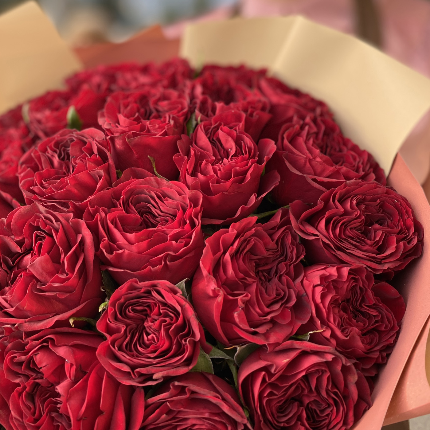 Букет из красных пионовидных роз Mayra’s Red