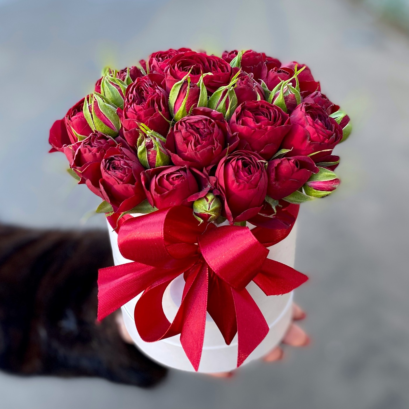 Пионовидные розы Red Lace в коробке