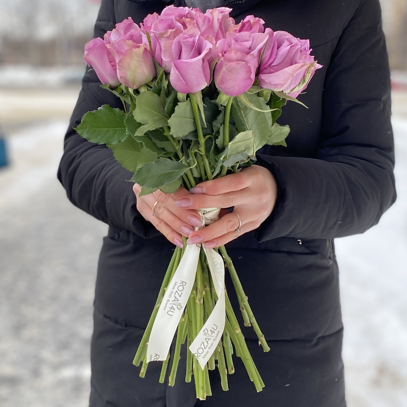 Роза сиреневая