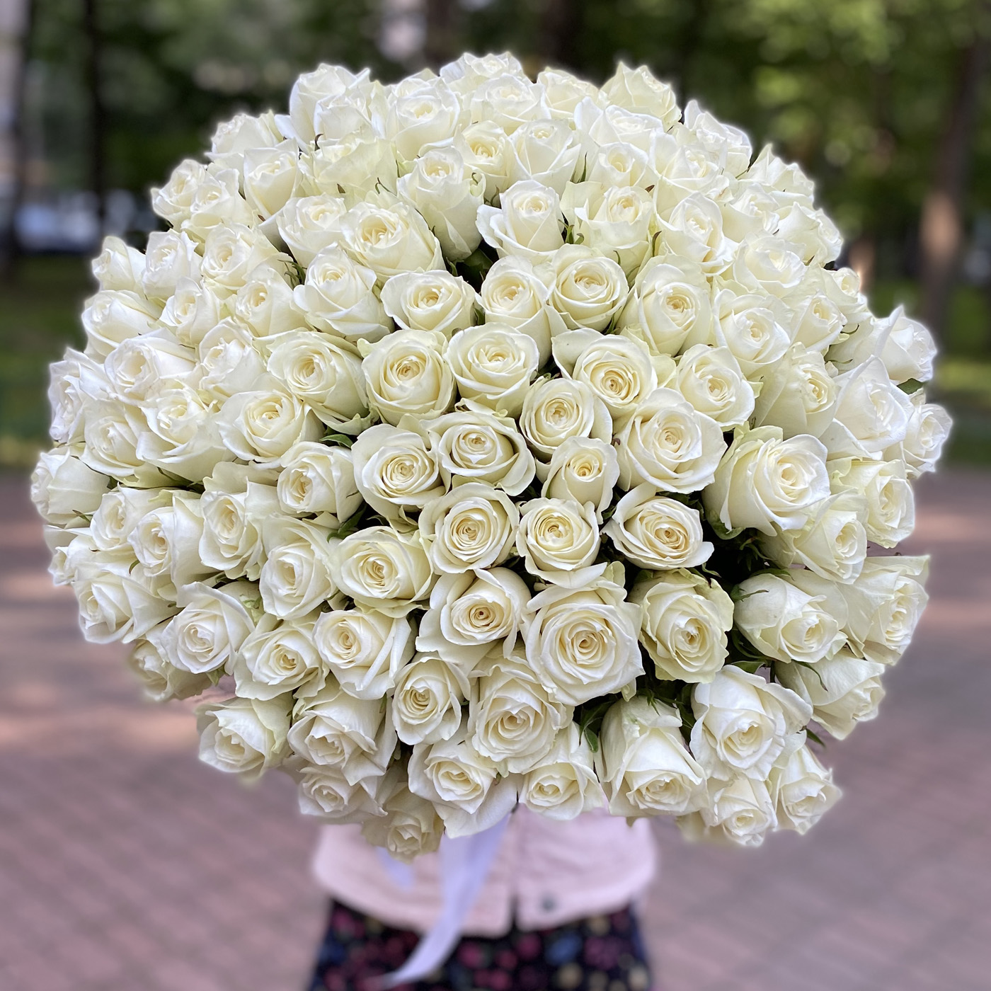 Роза белая 60 см