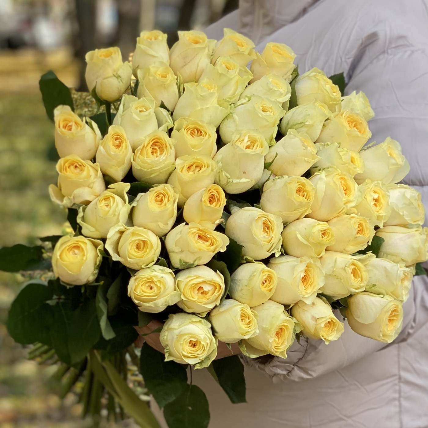 Роза Баттеркап 40 см