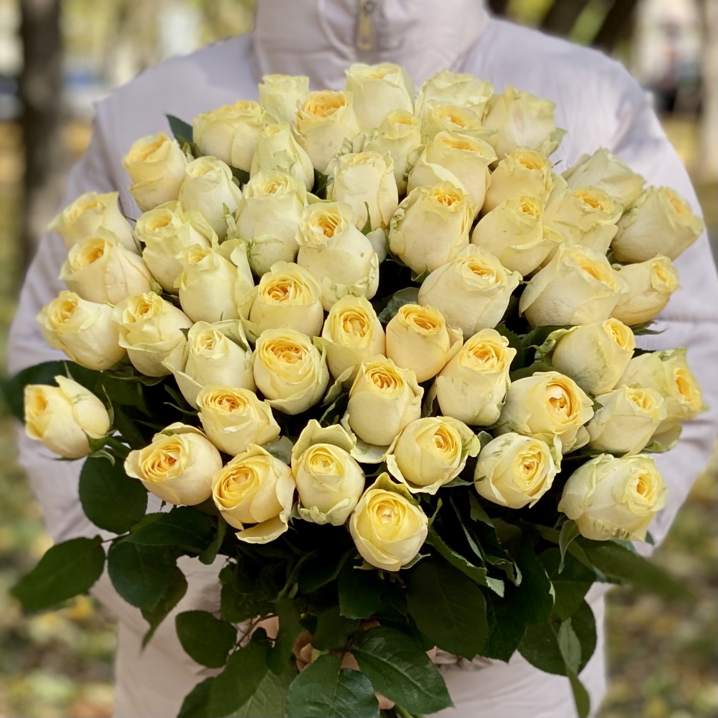 Роза Баттеркап 40 см