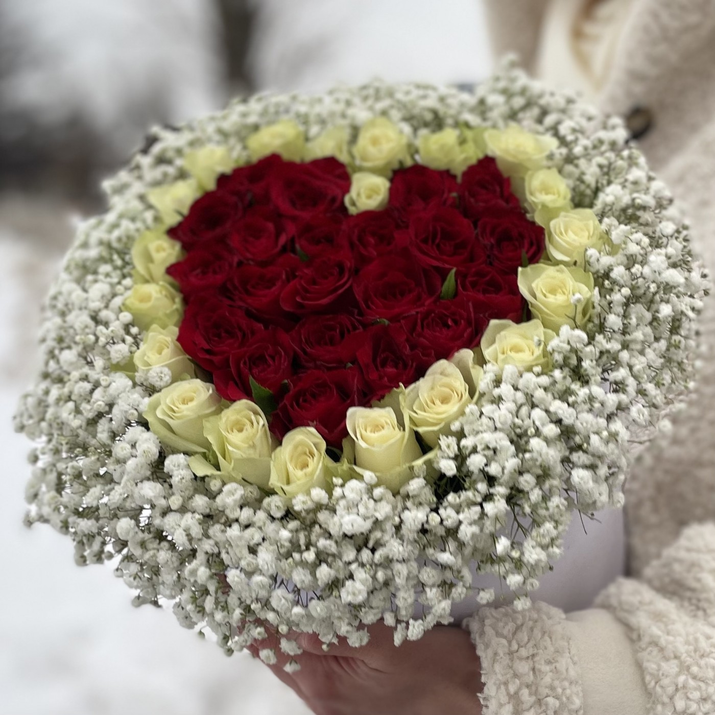 Коробка из красных и белых роз с гипсофилой