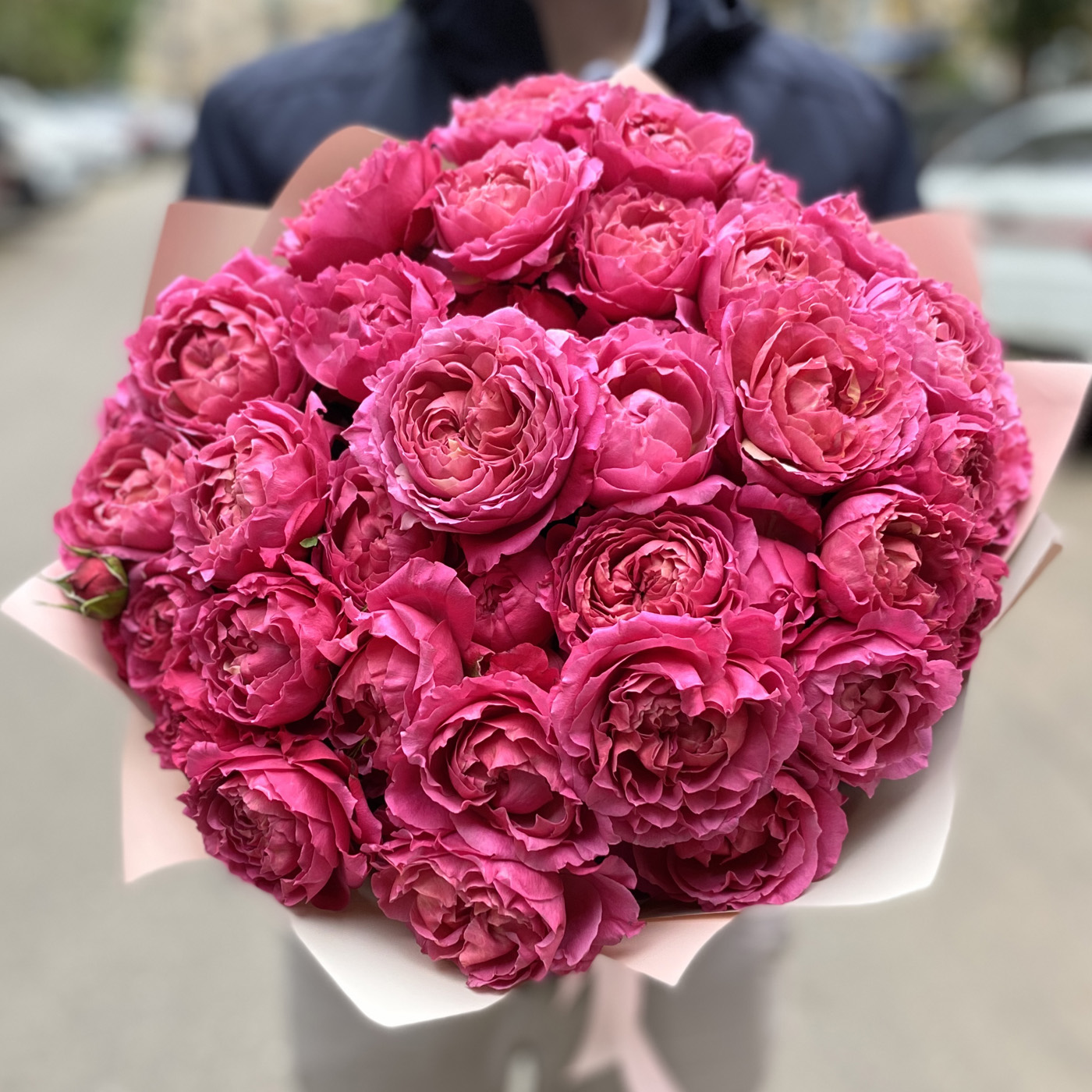 Вишневая Джульетта