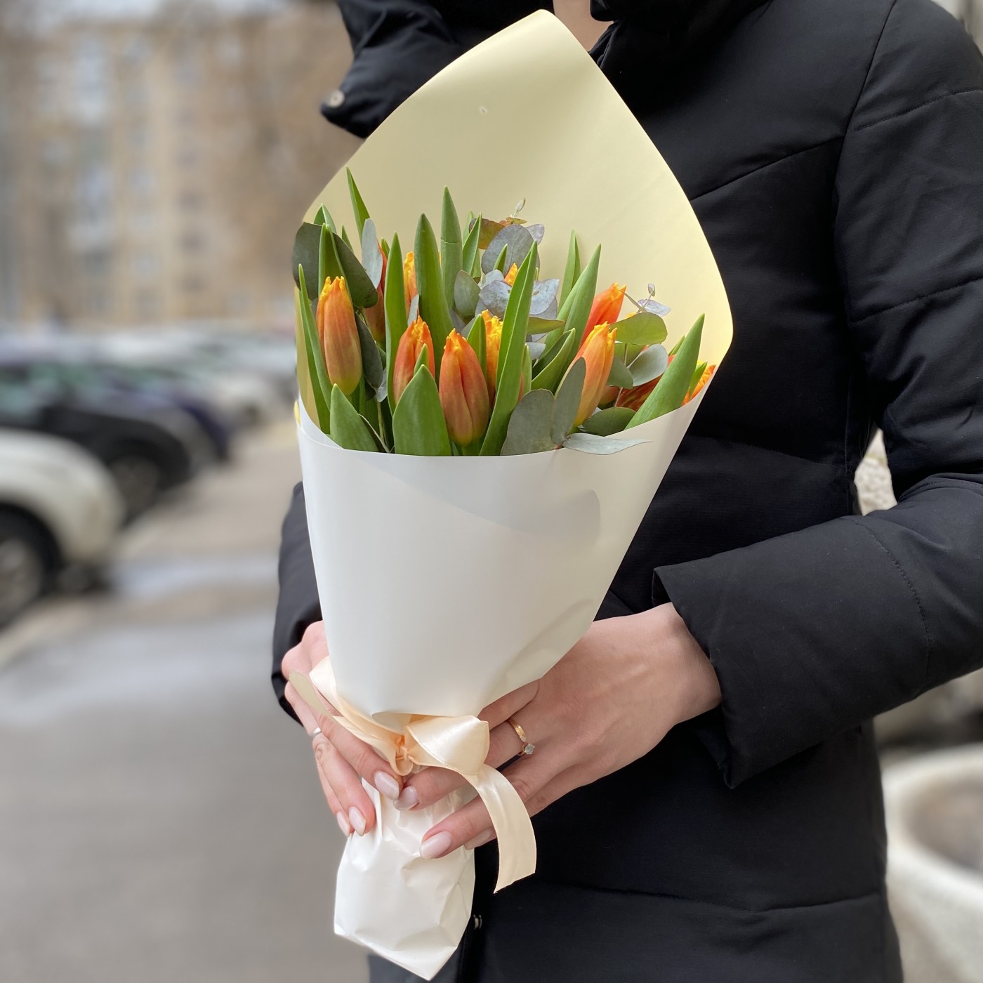 15 ярких тюльпанов Давенпорт