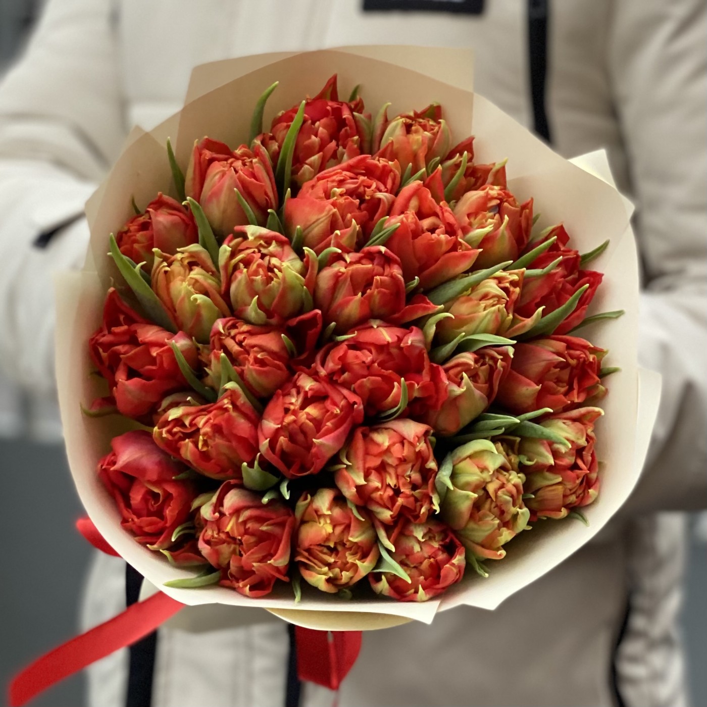 25 красных пионовидных тюльпанов Абба