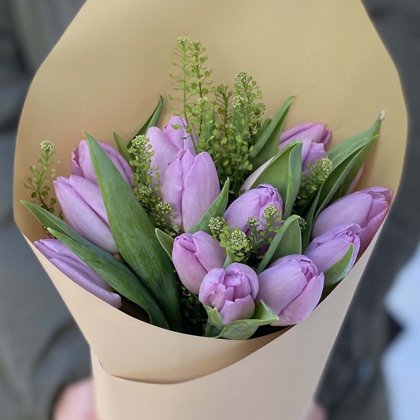 15 лиловых тюльпанов с зеленью