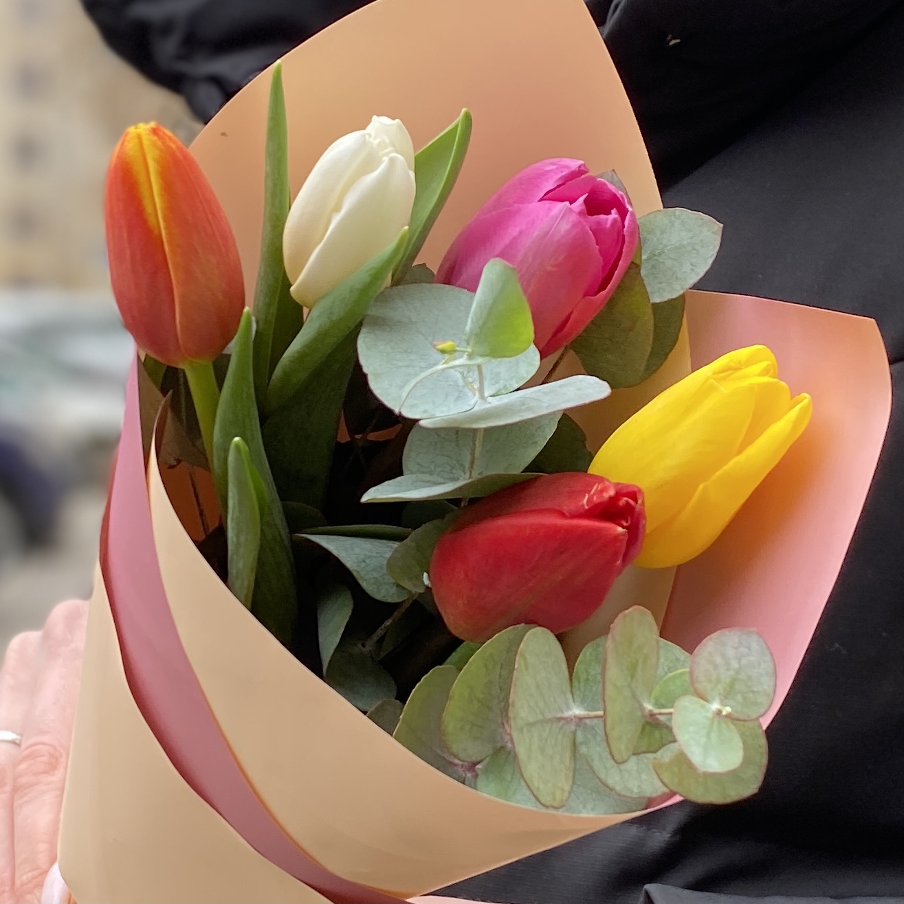 5 разноцветных тюльпанов