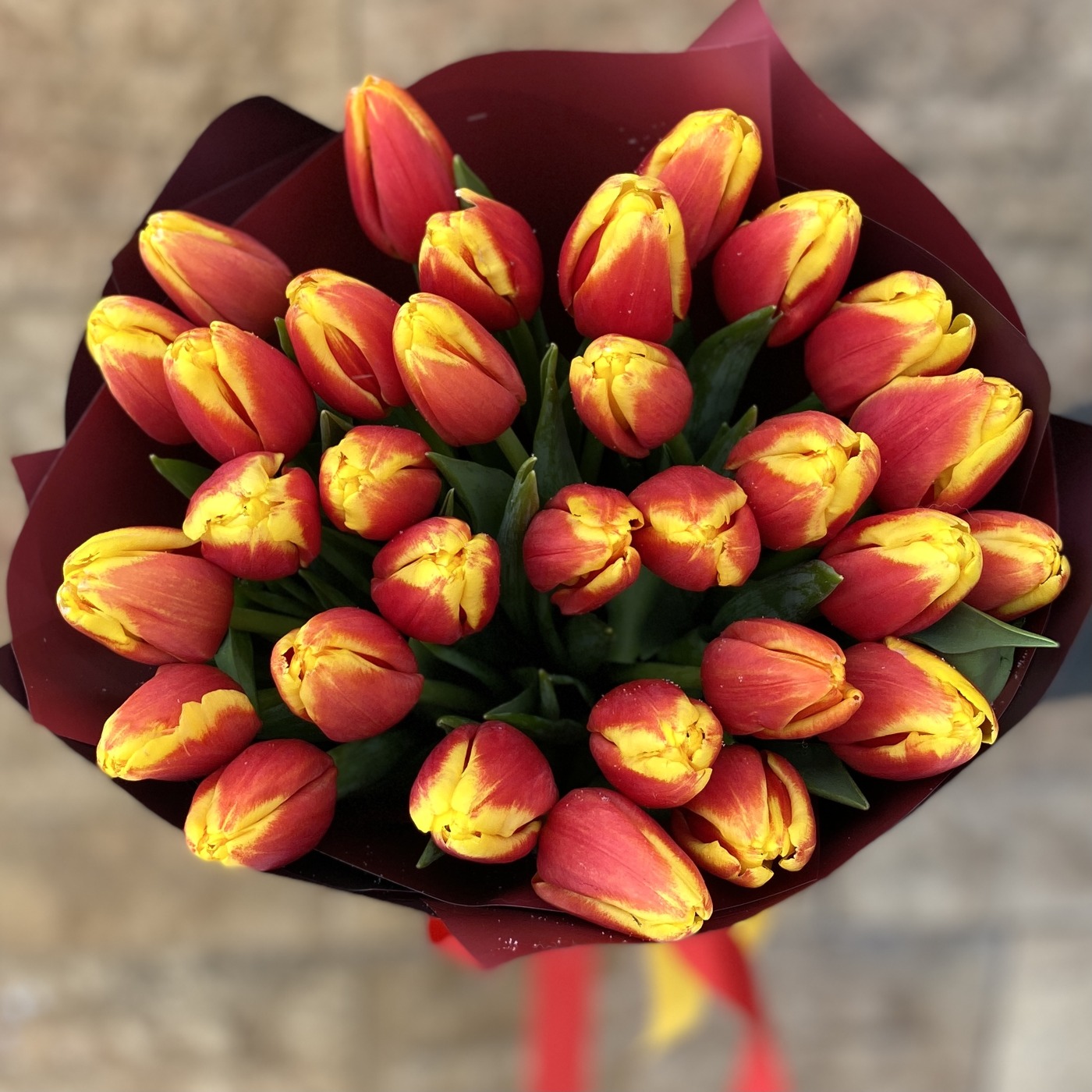 31 огненный тюльпан