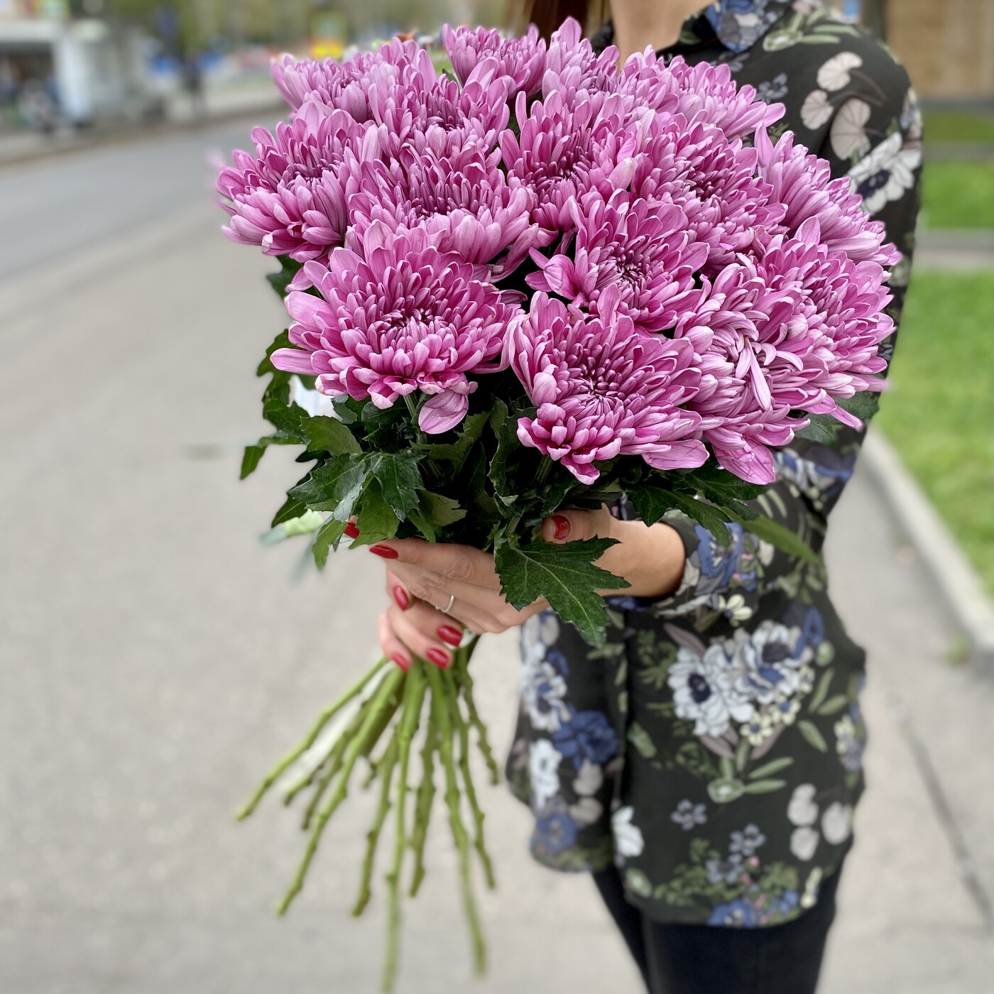 Хризантема сиреневая Резюме