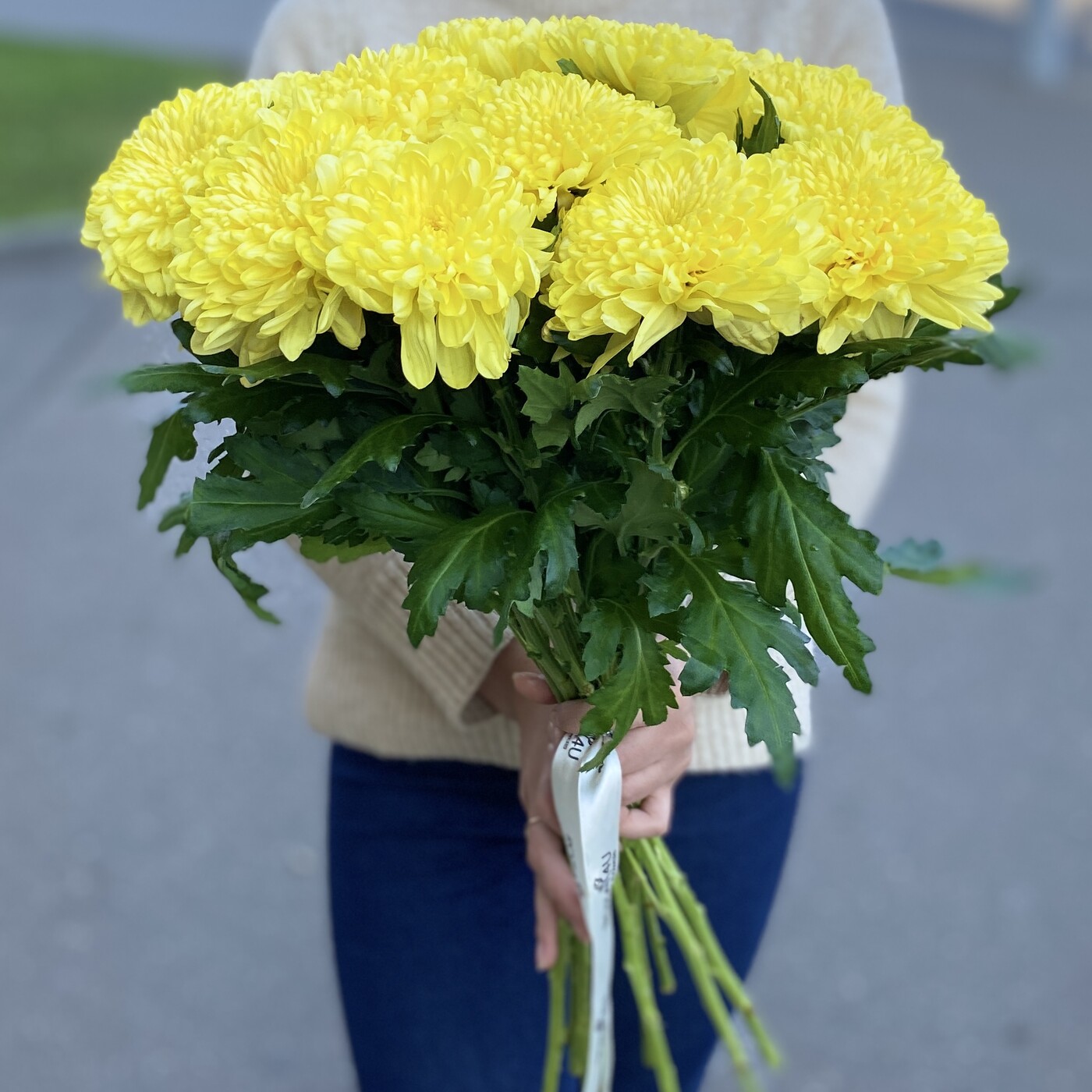 Хризантема желтая Гагарин