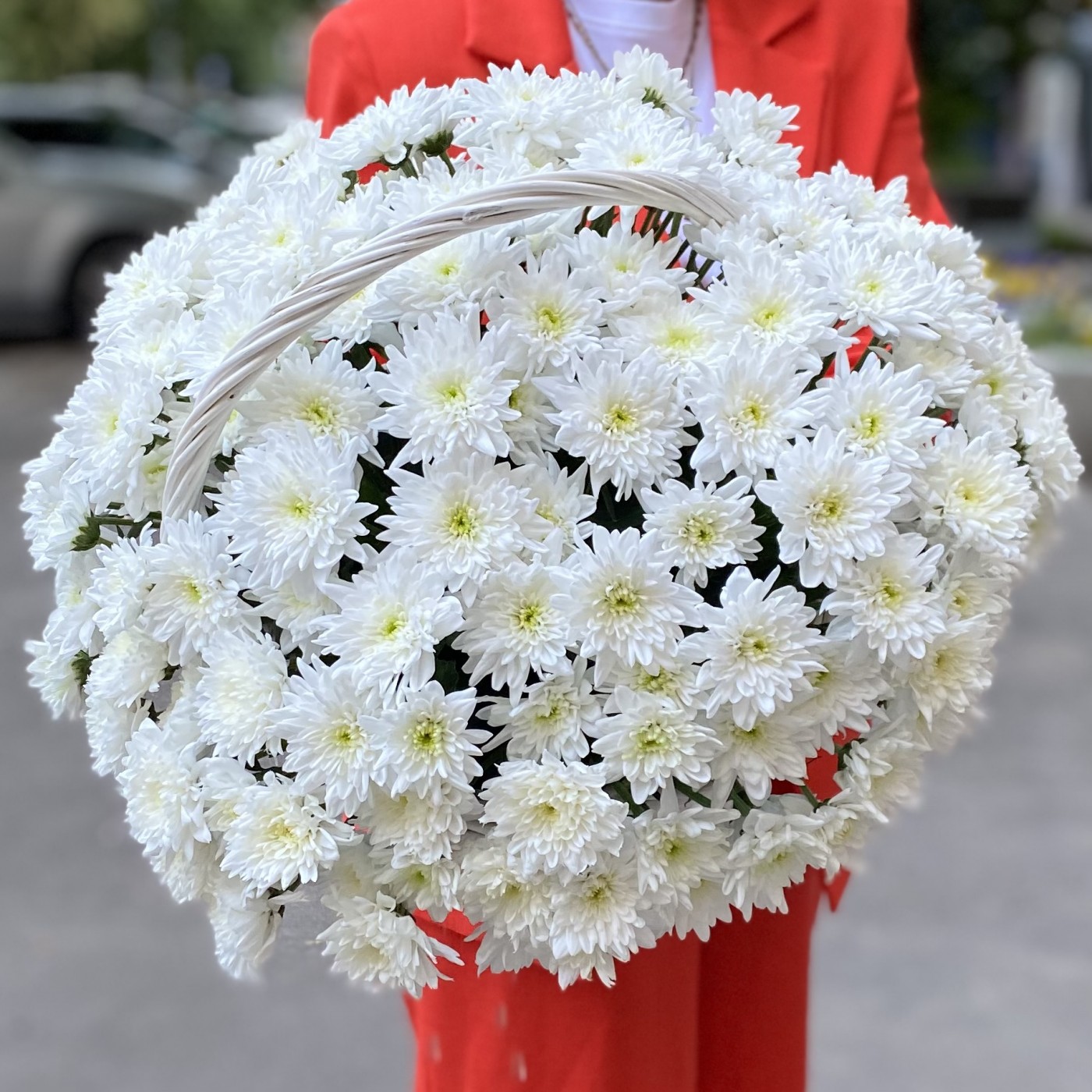 25 белых кустовых хризантем Балтика в корзине