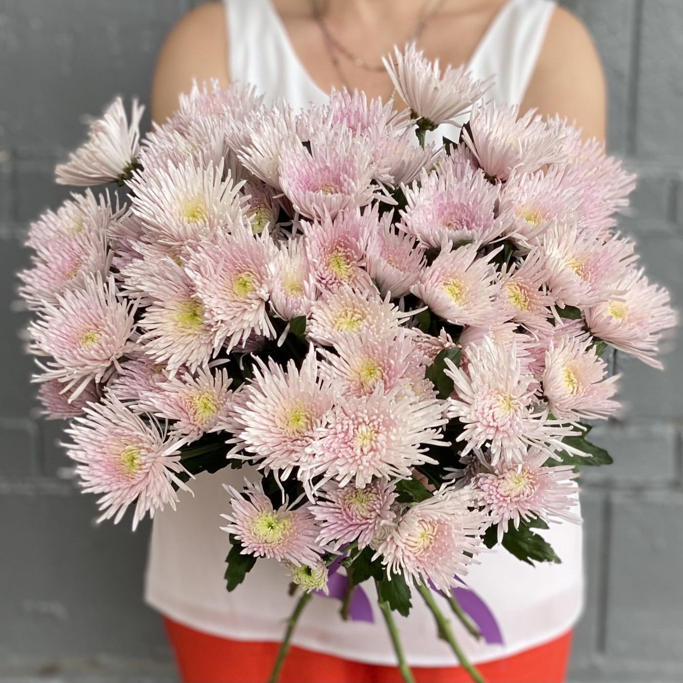 Кустовая розовая игольчатая хризантема Каприоль | купить недорого |  доставка по Москве и области