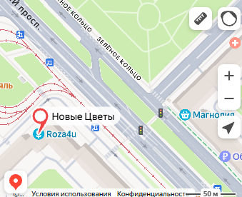 Карта магазина на Ломоносовском проспекте